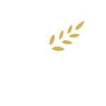 him center logo