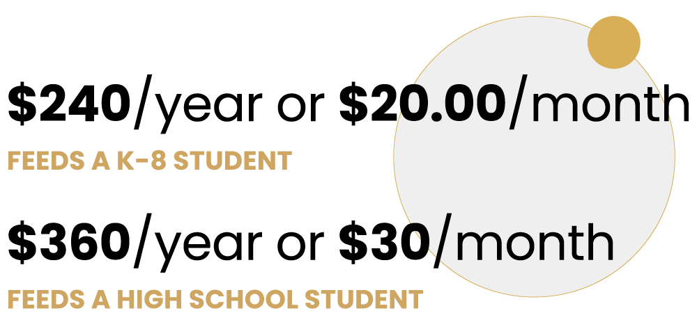 infographic